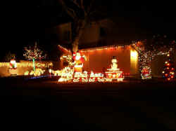 5090 Blackbird Honorable Mention 2009