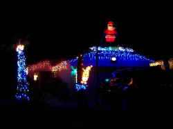 5336 Wood Owl 2nd Place 2009