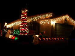 9401 Albatross 3rd Place 2009